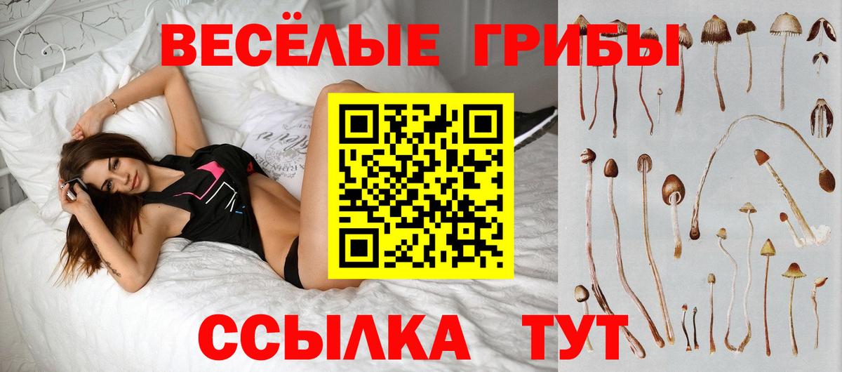 Коркино  Псилоцибиновые грибы прущие грибы  Вход с VPN 